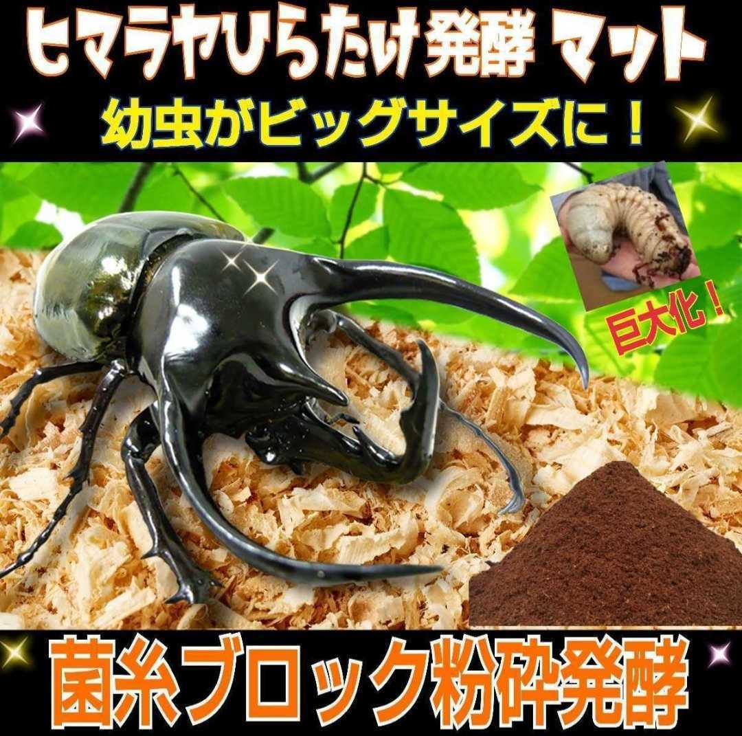 ヒマラヤひらたけ菌床発酵カブトムシマットの値段と価格推移は？｜3件