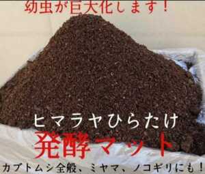 カブトムシ幼虫の餌に【改良版】ヒマラヤひらたけ菌床発酵マット☆栄養価抜群なのでビッグサイズになります！驚きの食い付き！雑虫混入なし