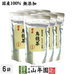 健康茶 国産100% 烏龍茶 ウーロン茶 100g×6袋セット 無添加 送料無料