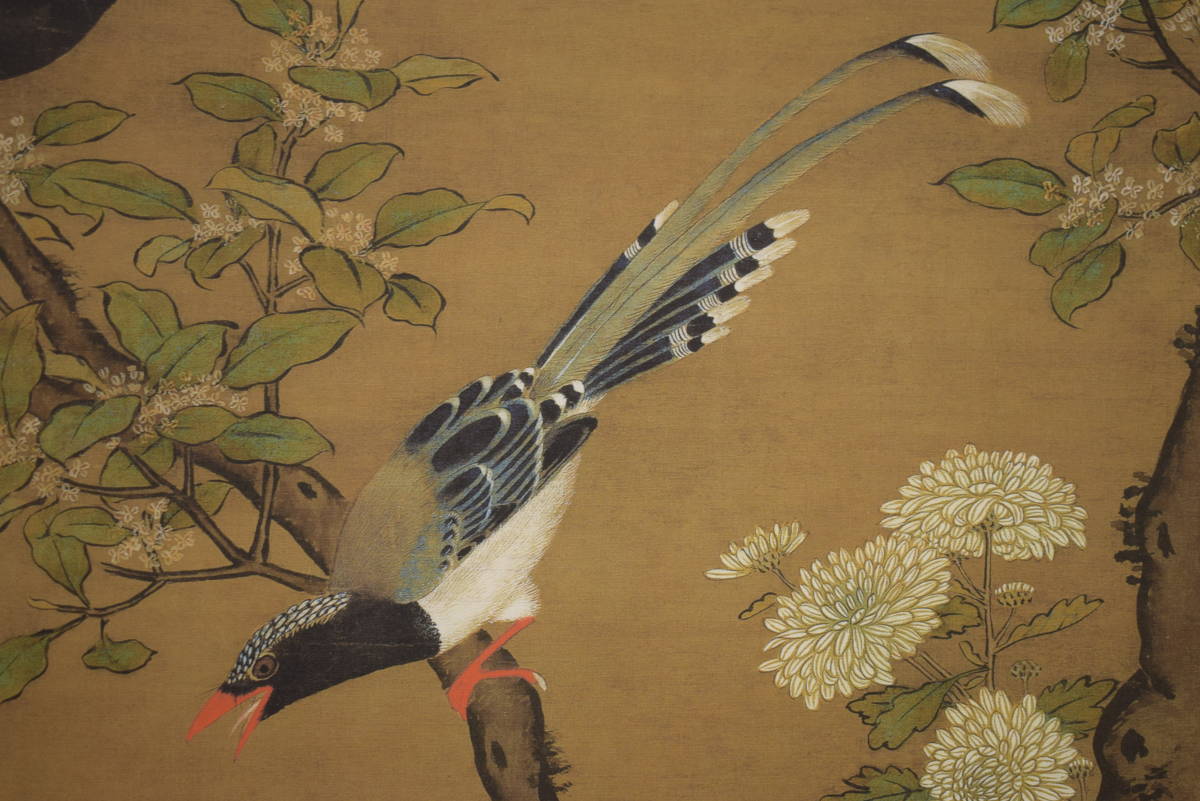 [Reproduction]//Ruki/Chrysanthemum Flowers and Birds/Little Birds/Chinese Painting/Crafts/Hotei-ya Hanging Scroll HI-932, painting, Japanese painting, flowers and birds, birds and beasts