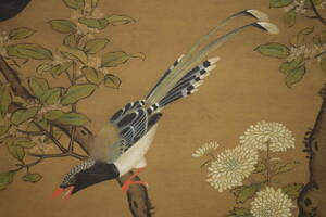 Art hand Auction [복제] //료기/국화꽃과 새/작은 새/중국화/공예품/호테이야 족자 HI-932, 그림, 일본화, 꽃과 새, 야생 동물