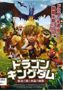 ★ドラゴンキングダム 魔法の森と水晶の秘密★（DVD・レンタル版）