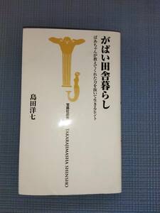 がばい田舎暮らし 島田洋七 第１刷 発行 宝島社新書 佐賀県 広島県 古本 しまだようしち がばい ばあちゃん