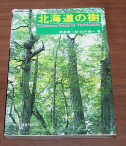 ★61★北海道の樹　鮫島惇一郎　辻井達一　北大図書刊行会　古本★