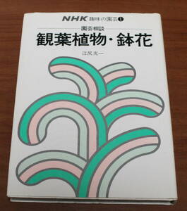 ★65★NHK趣味の園芸① 　観葉植物・鉢花　江尻光一　古本★