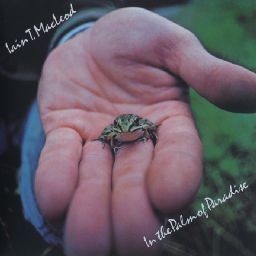 【新品CD】 IAIN T. MACLEOD / IN THE PALM OF PARADISE