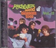 【新品CD】 Blossom Toes / If Only For A Moment - Psychodelic Sound Of ... Vol 2_画像1