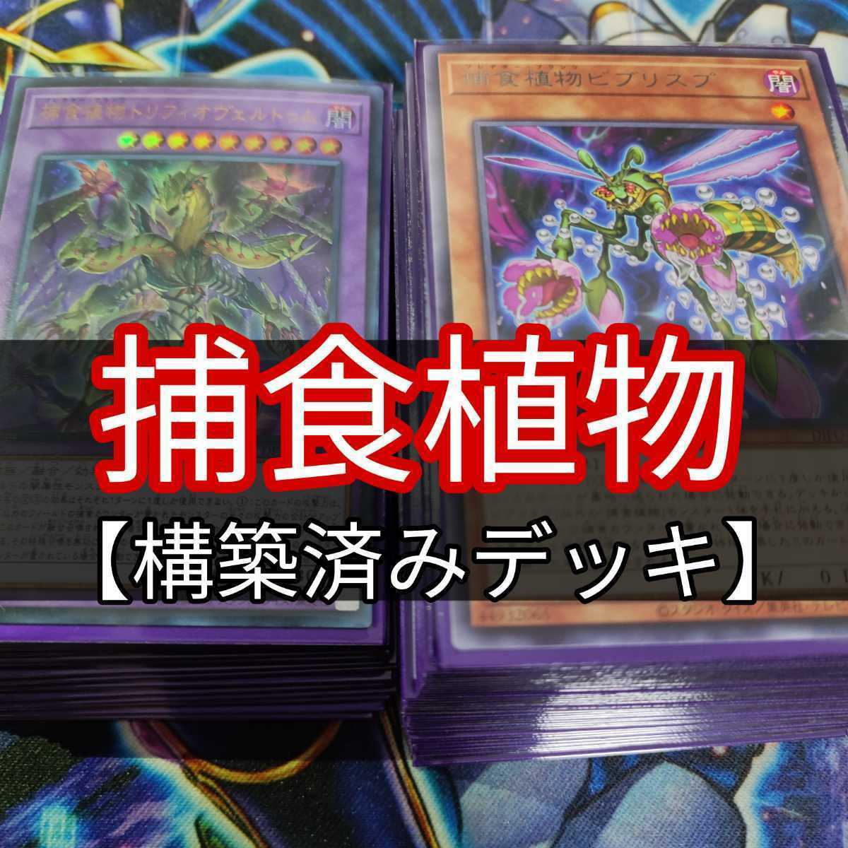 おすすめネット 遊戯王 捕食植物 デッキパーツ スターヴ ヴェノム プレデター フュージョン ドラゴン ウルトラレア レリーフレア 14枚セット その他 Labelians Fr おすすめネット 遊戯王 捕食植物 デッキパーツ スターヴ ヴェノム プレデター フュージョン ドラゴン ウルトラレア レリーフレア 14枚セット その他 Labelians Fr