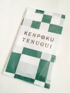 新品*KENPOKU art 2016 TENUGUI 限定*茨城県北芸術祭 注染 手ぬぐい 山と海*即決