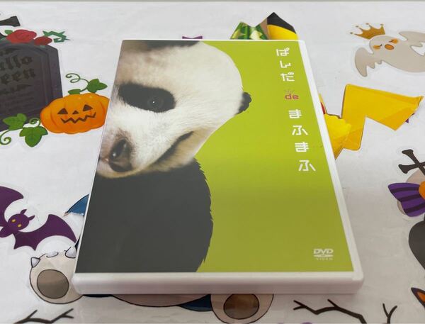 ぱんだdeまふまふ DVD こぱんだ まふまふ 特集 ムーティンティン 癒し パンダ 動物