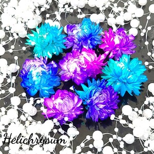 加工花材* アソート ヘリクリサム 8輪 プリザーブドフラワー 花材