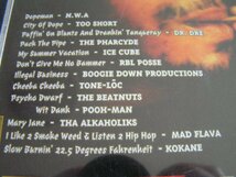 【HR08】 《Phat Blunts - Rap Unda Tha Influence》 NWA / Dr. Dre / Ice Cube_画像2