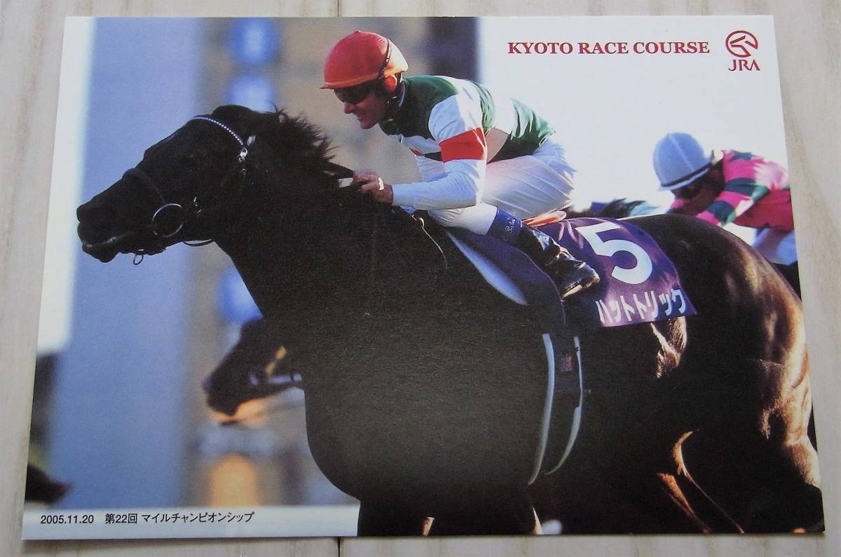 2025年最新】Yahoo!オークション -競馬 帽子の中古品・新品・未使用品一覧