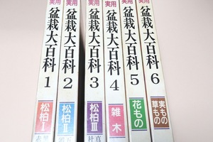 実用盆栽大百科・6冊/中郡英夫/培養・整姿技術を中心に解説するとともに盆栽にかかわる全ての知識と情報を集大成し盆栽を総合的に捉える