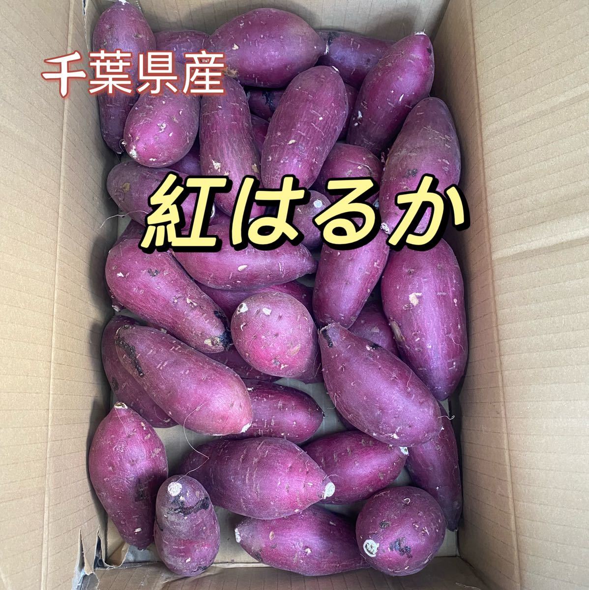 さつまいも様専用 【☆安心の定価販売☆】 growthcenter.icontinental