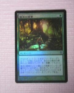 mtg　foil　日本語　WWK　復活の探索/Quest for Renewal　1枚まで　即決
