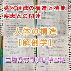 歯科衛生士、歯科技工士国家試験、定期試験対策シリーズ【解剖学】まとめノート