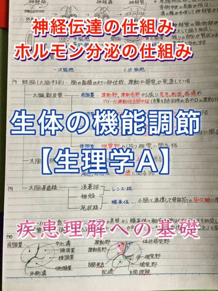 精神保健福祉士、介護福祉士国家試験、定期試験対策シリーズ【生理学A】まとめノート