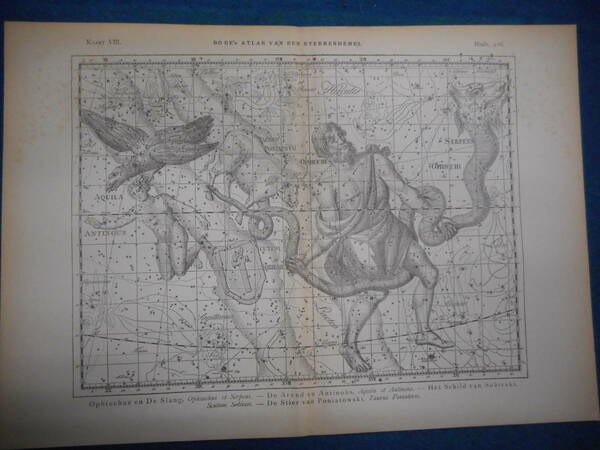 アンティーク天球図、天文暦学書Astronomy 星座図絵1801年復刻『ボーデの星図ウラノグラフィア8』Star map, Planisphere, Celestial atlas