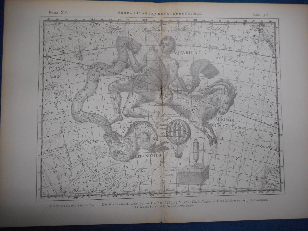 アンティーク天球図 天文暦学書Astronomy 星座図絵1801年復刻 アンティーク天球図 天文暦学書Astronomy 星座図絵1801年復刻