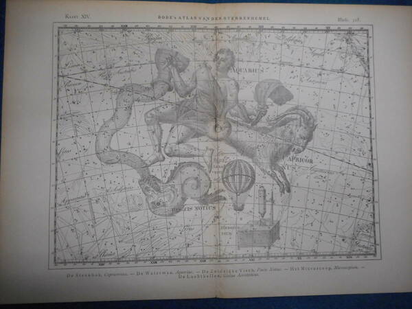 アンティーク天球図、天文暦学書Astronomy 星座図絵1801年復刻『ボーデの星図ウラノグラフィア14』Star map, Planisphere, Celestial atlas