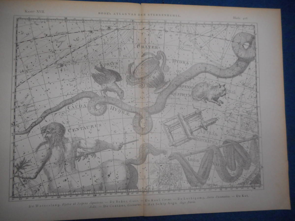 アンティーク天球図 天文暦学書Astronomy 星座図絵1801年復刻 アンティーク天球図 天文暦学書Astronomy 星座図絵1801年復刻