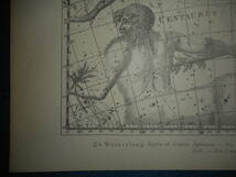 アンティーク天球図、天文暦学書Astronomy 星座図絵1801年復刻『ボーデの星図ウラノグラフィア17』Star map, Planisphere, Celestial atlas_画像4
