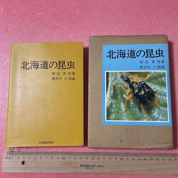 K-042 送料込 カバー付【北海道の昆虫/田辺秀男著 長谷川 仁監修 北海道新聞社】《検 チョウ目 トビケラ目 シリアゲムシ目 ハチ目》