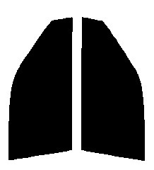 クリアー　88％ 運転席、助手席　カルタス３ドアAA・AB・AF34・44 カット済みフィルム