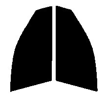 スモーク　２６％　運転席、助手席　ステージア　M35　カット済みフィルム　国産