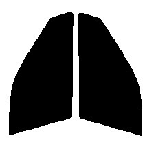 ライトスモーク　５０％　運転席、助手席　アコードワゴン　CE1・CF2　カット済みフィルム