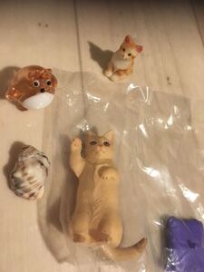 コレクション