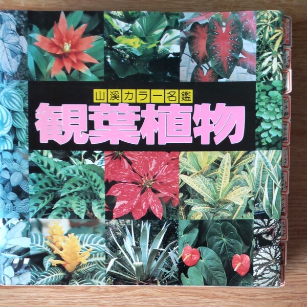 山渓カラー名鑑 観葉植物 【山と渓谷社】