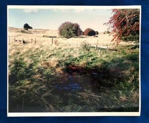 高橋恭司1990年代の四つ切りオリジナルプリント「Blood and Ranch. Rotorua」, アート、エンターテインメント, 写真集, アート写真