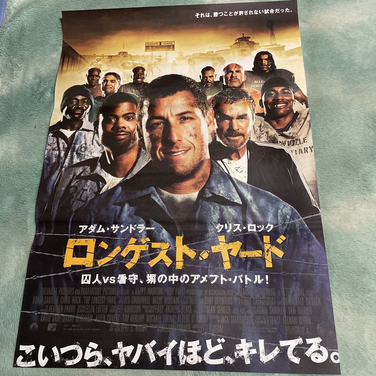 wv0198/B1判『ライフ』ポスター ベン・スティラー クリステン・ウィグ