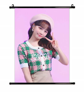 IZ*ONE IZONE (アイズワン) キム・チェウォン グッズ タベストリー 布ポスター 約41ｃｍ×57ｃｍ (A)