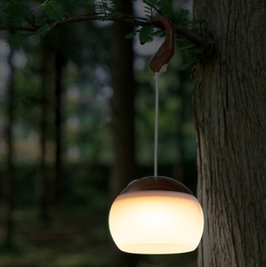 LED lantern . wood grain walnut . color USB rechargeable three -step style light hanging lowering type small size bright light weight .... manner 