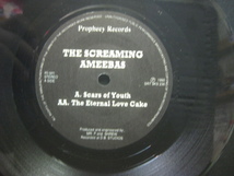 The Screaming Ameebas / Scars Of Youth ◆EP3607NO BGP◆EP_画像3