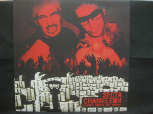 Secta Chameleon / Who's Rockin' The Town ◆LP954NO BWP◆12インチ