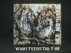 What Feeds The Fire / Set Me Free ◆CD4321NO◆CD