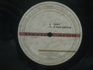 David Caron / Dawn ◆Y802NO◆12インチ