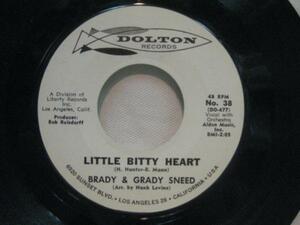 BRADY & GRADY SNEED LEAVIN IT ALL UP TO YOU＊7インチ[L910