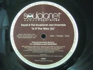 ILAYALI & SOULPLANET JAZZ ENSEMBLE / IS IT THE WAY◆Q248NO