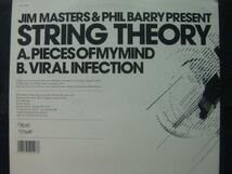STRING THEORY / PIECES OF MY MIND ◆M956NO◆12インチ_画像2