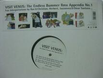 VISIT VENUS / THE ENDLESS BUMMER RMX APPENDIX NO1◆L819NO_画像1