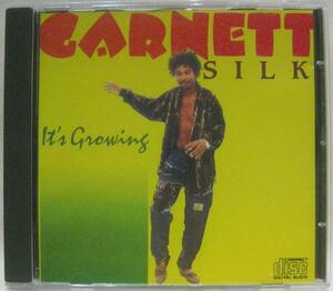 Garnett Silk It's Growing＊レゲエ＊[I957]