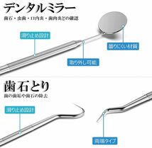 歯用ツール 歯石取り 五点セット器具 デンタルミラー スケーラー タングスクレーパー _画像5