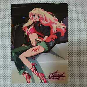  out of print trading card ( Carddas master z) Macross F( Frontier )[MF199sheliru*no-m] new goods 