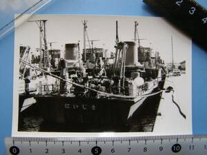 (J42) 写真 古写真 船舶 海上自衛隊 自衛艦 にいじま 護衛艦 軍艦 