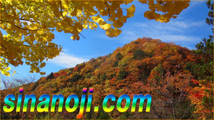  top Revell domain sinanoji.com confidence .. super rare private person ownership complete unused ( Shinshu ... Nagano prefecture )